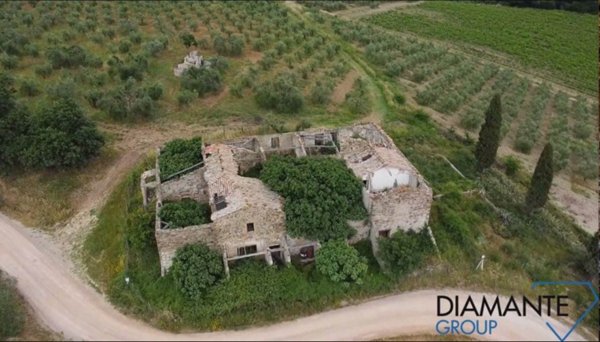 azienda agricola in vendita a Montalcino