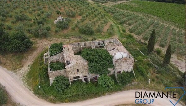 azienda agricola in vendita a Montalcino