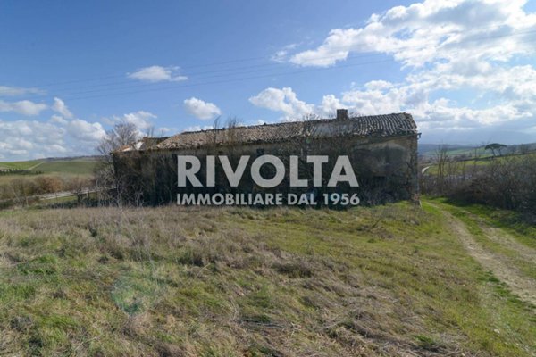terreno agricolo in vendita a Montalcino