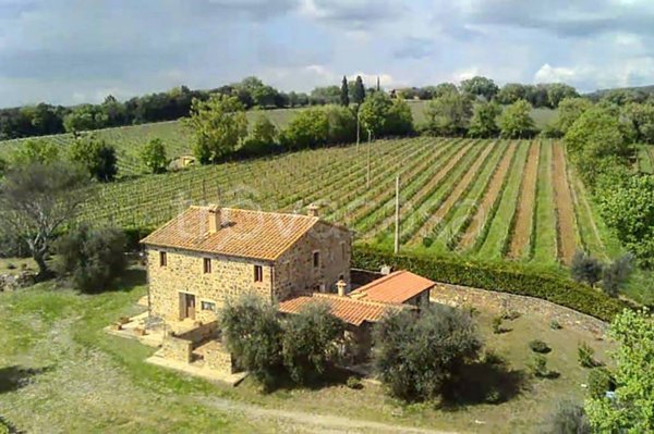 casa indipendente in vendita a Montalcino in zona Sant'Angelo in Colle