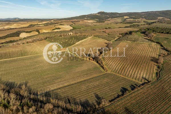 casa indipendente in vendita a Montalcino