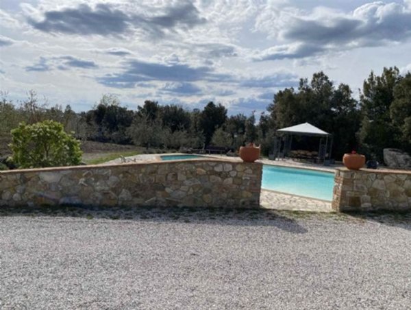 azienda agricola in vendita a Montalcino
