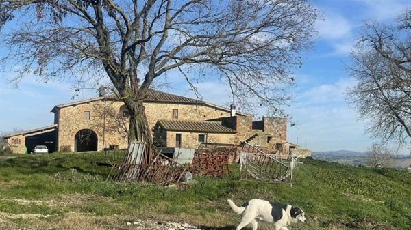azienda agricola in vendita a Montalcino