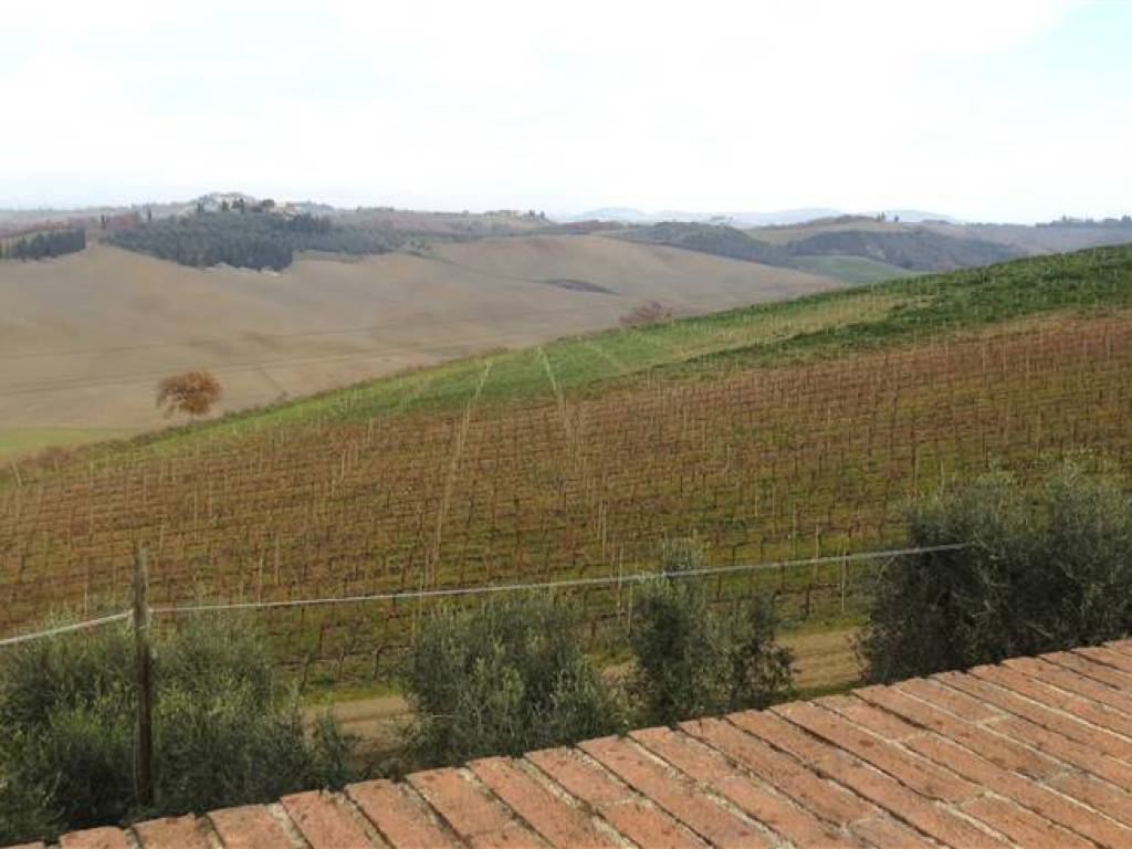 azienda agricola in vendita a Montalcino