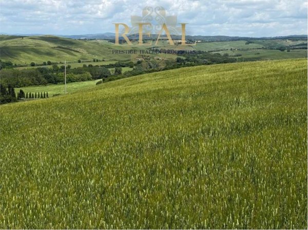 azienda agricola in vendita a Montalcino