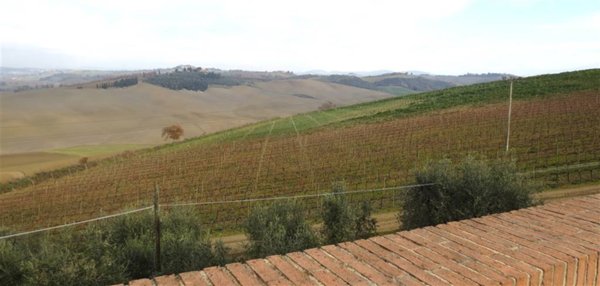 azienda agricola in vendita a Montalcino