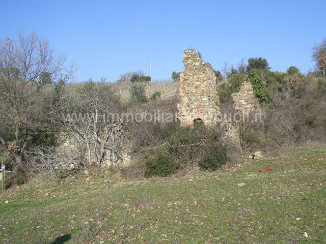 casale in vendita a Montalcino