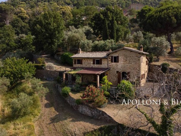casa indipendente in vendita a Montalcino