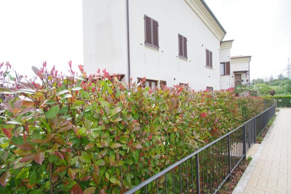 appartamento in vendita a Montalcino in zona Torrenieri