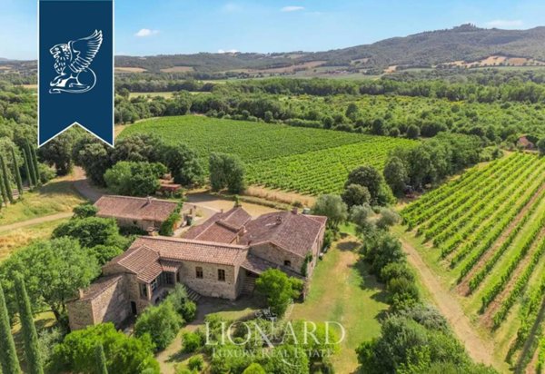 azienda agricola in vendita a Montalcino