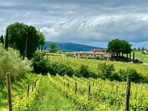 ufficio in vendita a Montalcino