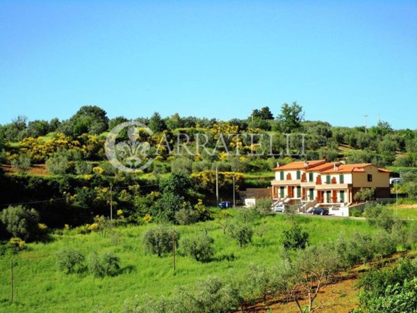 casa indipendente in vendita a Montalcino in zona San Giovanni d'Asso
