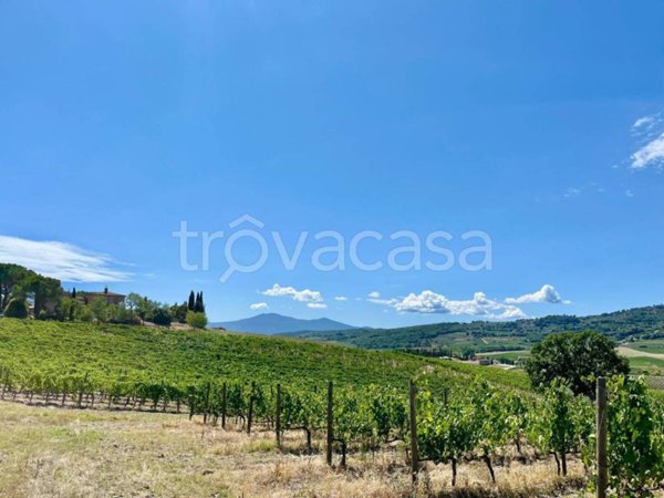 casa indipendente in vendita a Montalcino
