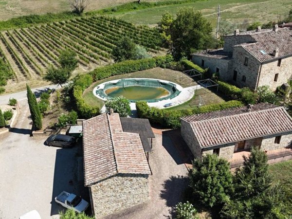 negozio in vendita a Montalcino