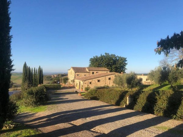negozio in vendita a Montalcino