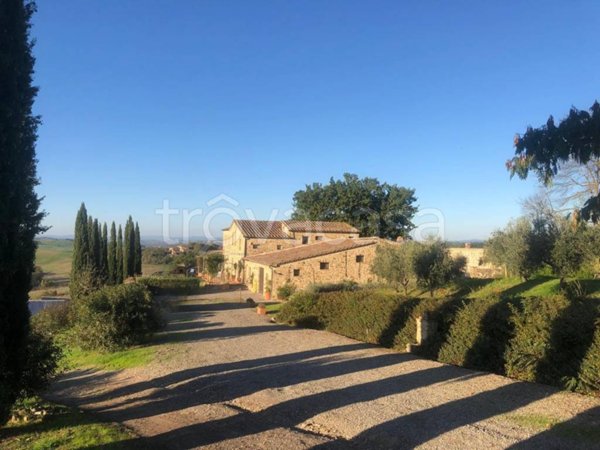 azienda agricola in vendita a Montalcino