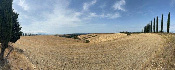 negozio in vendita a Montalcino in zona San Giovanni d'Asso