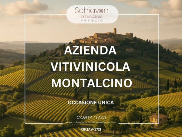 negozio in vendita a Montalcino