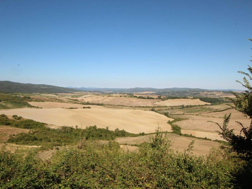 negozio in vendita a Montalcino