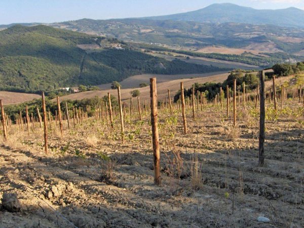 casa indipendente in vendita a Montalcino