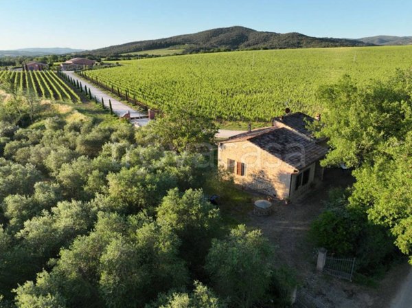 casa indipendente in vendita a Montalcino in zona Camigliano