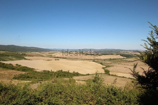 azienda agricola in vendita a Montalcino