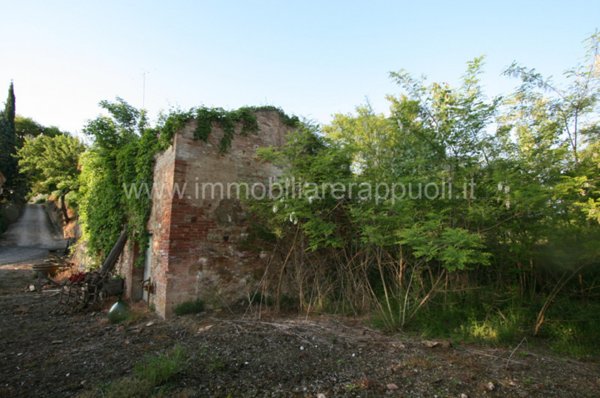 casale in vendita a Montalcino in zona San Giovanni d'Asso