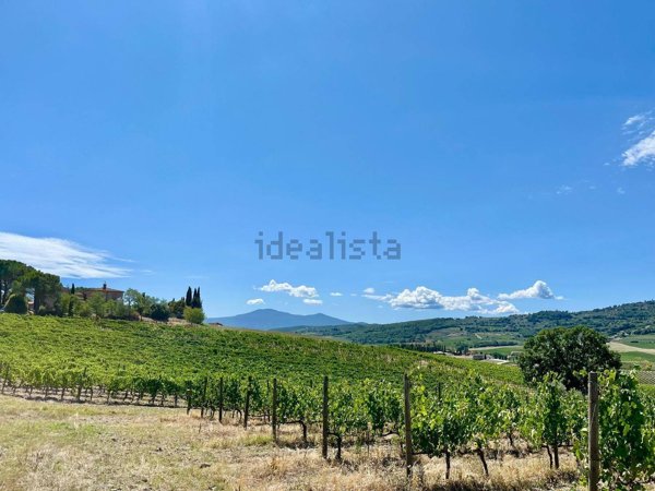 terreno agricolo in vendita a Montalcino