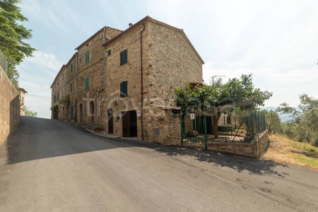 casa indipendente in vendita a Montalcino in zona Castelnuovo dell'Abate