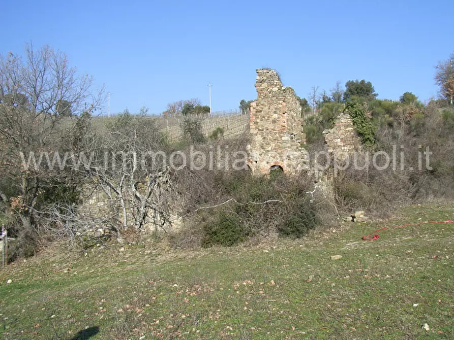 casa indipendente in vendita a Montalcino in zona Castelnuovo dell'Abate