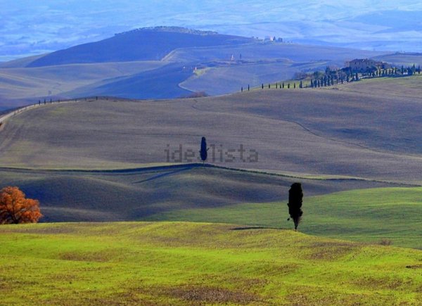 azienda agricola in vendita a Montalcino