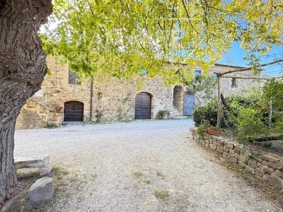 azienda agricola in vendita a Montalcino
