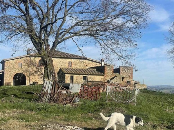 azienda agricola in vendita a Montalcino