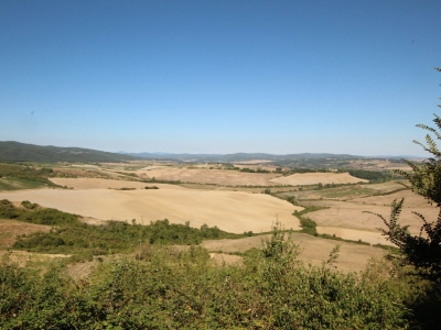 azienda agricola in vendita a Montalcino