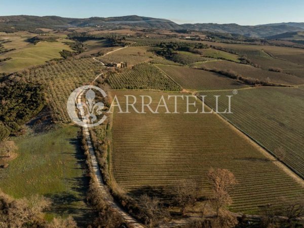 casa indipendente in vendita a Montalcino