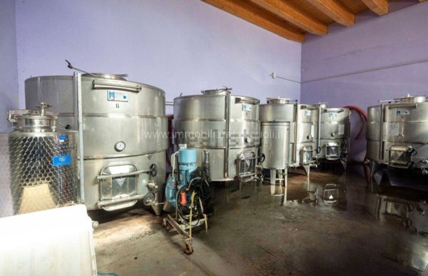 appartamento in vendita a Montalcino