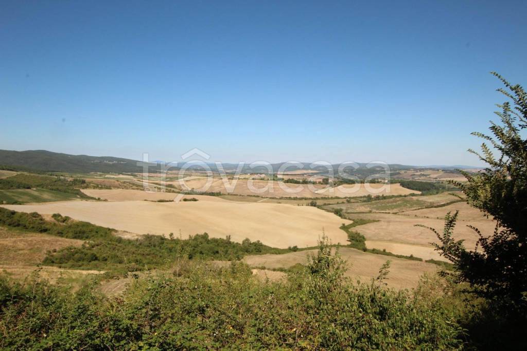 azienda agricola in vendita a Montalcino