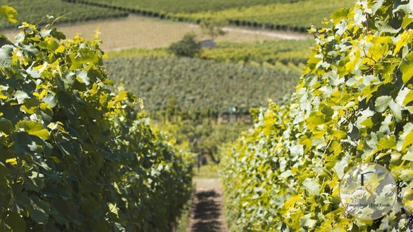 appartamento in vendita a Montalcino in zona San Giovanni d'Asso