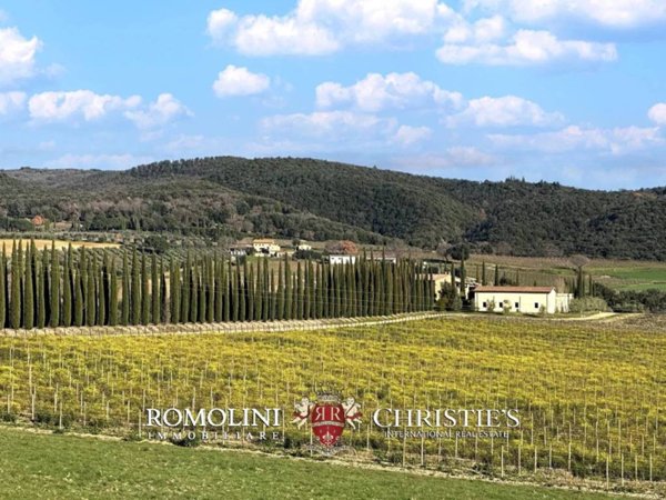 casa indipendente in vendita a Montalcino