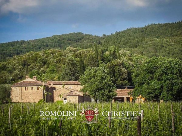 azienda agricola in vendita a Montalcino