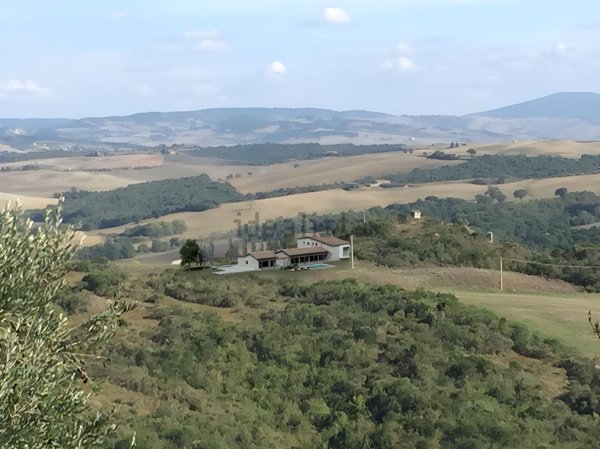 esavano in vendita a Montalcino