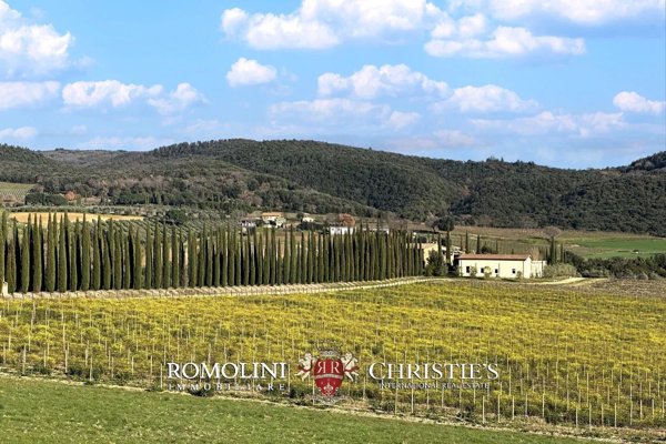casa indipendente in vendita a Montalcino