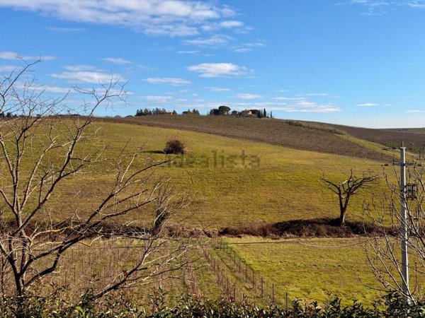 casa indipendente in vendita a Montalcino