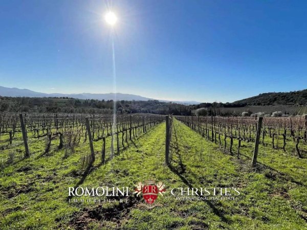 villa in vendita a Montalcino