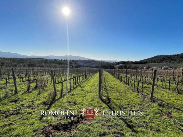 villa in vendita a Montalcino