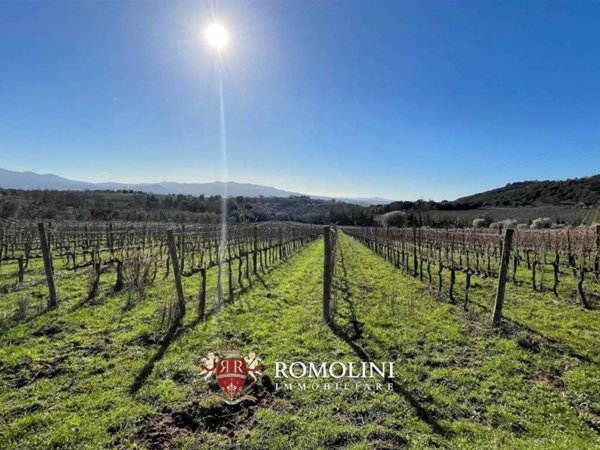 casa indipendente in vendita a Montalcino