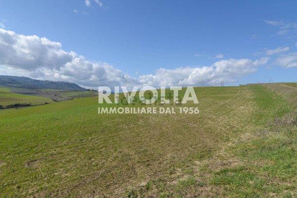 terreno agricolo in vendita a Montalcino