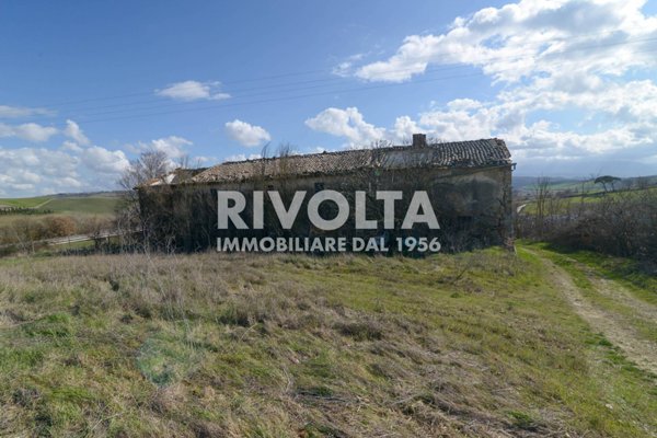 terreno agricolo in vendita a Montalcino