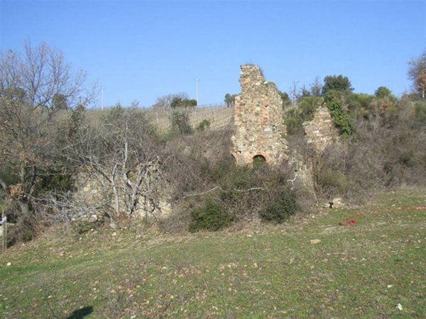 azienda agricola in vendita a Montalcino in zona Castelnuovo dell'Abate