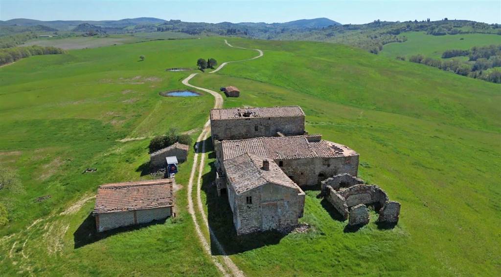 azienda agricola in vendita a Montalcino